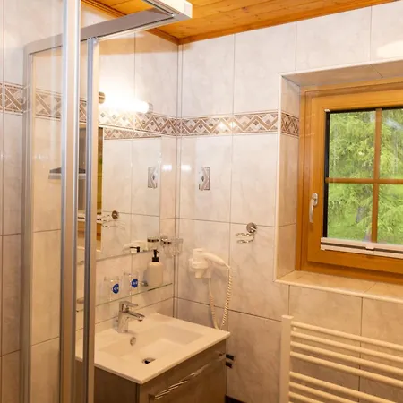 Haus Silberdistel Ramsau am Dachstein